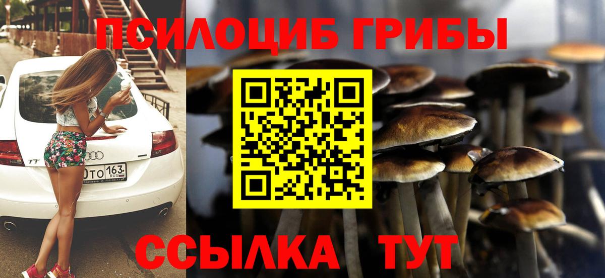 Псилоцибиновые грибы GOLDEN TEACHER Советский