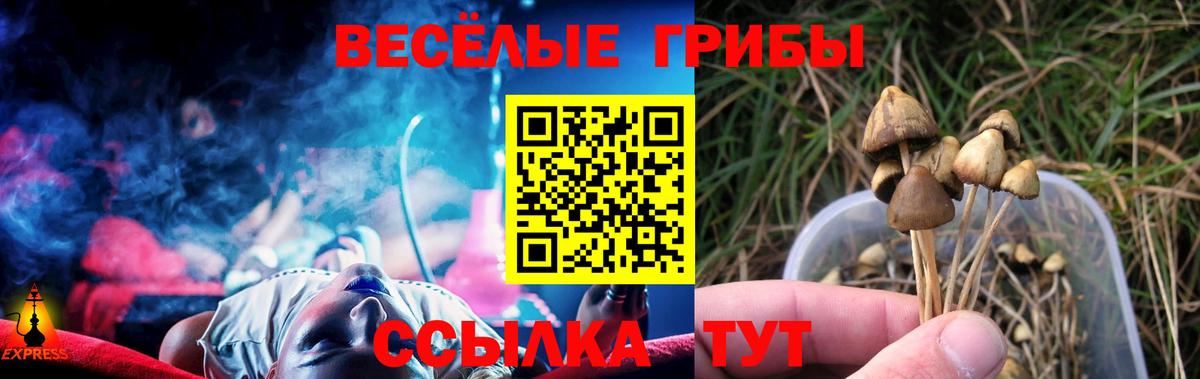 Советский  даркнет сайт  Вход с VPN  Псилоцибиновые грибы GOLDEN TEACHER 