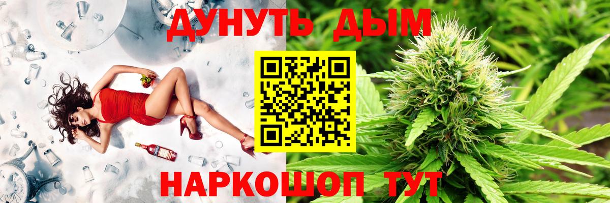 Шишки марихуана Ganja  Шишки марихуана планчик  Канабис сатива  Вход с VPN  Советский 